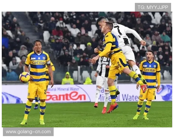 中国竞彩网全面解析：足球篮球赛事数据分析与投注技巧分享