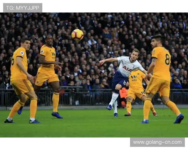 今日趣图：冷知识😅狼队2026年英超胜场数＞军+城+车+魔+刺总和-直播吧